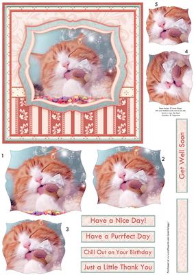 Have a Nice Day Cat & Ice Cream 6x6 Card Front & Pyramage