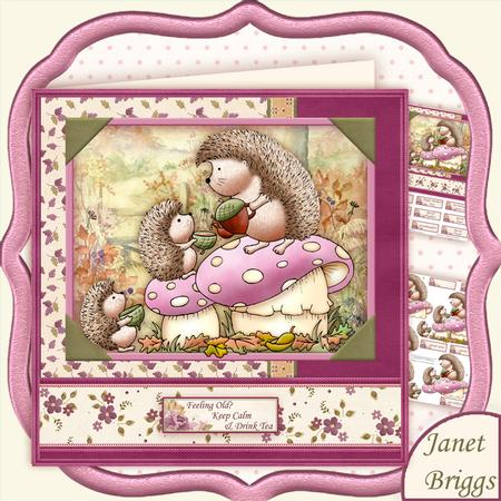 Henry's Mushroom Tea Birthday Get Well Decoupage Mini Kit