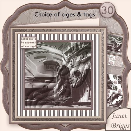 Car Mechanic Leaks Are to Be Expected at Your Age Mini Kit