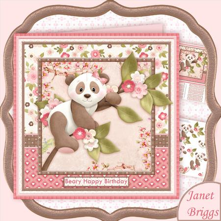 Beary Special Panda Female Birthday or Get Well Mini Kit