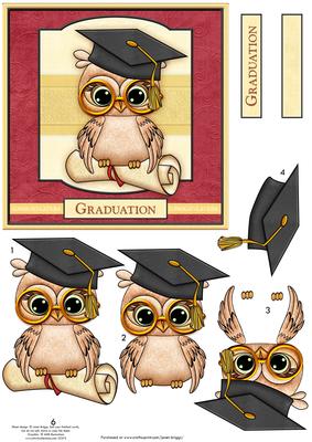 Graduation Owl Card Topper & Decoupage