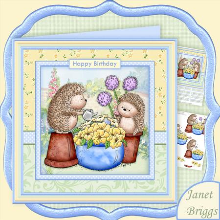 Gardening Hedgies 8x8 Hedgehog Mini Kit & Decoupage