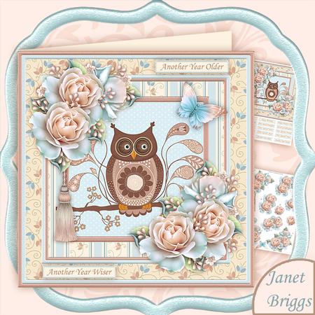 Owl Butterfly & Roses 8x8 Decoupage Mini Kit
