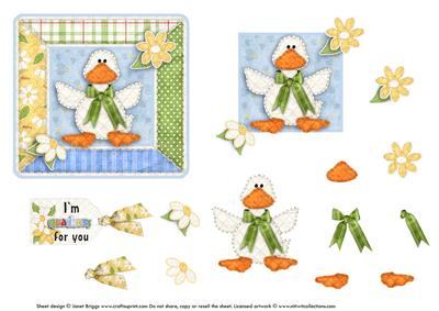 Girlfriend Boyfriend Partner Birthday I'm Quackers for You
