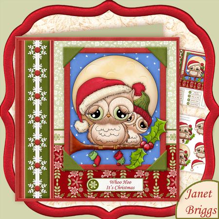 Have a Hoot of a Christmas Owls 8