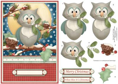 Mistletoe Owl A5 Christmas Card Topper & Decoupage