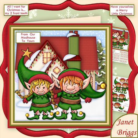 From Our Madhouse 7.5 Humorous Decoupage Mini Kit