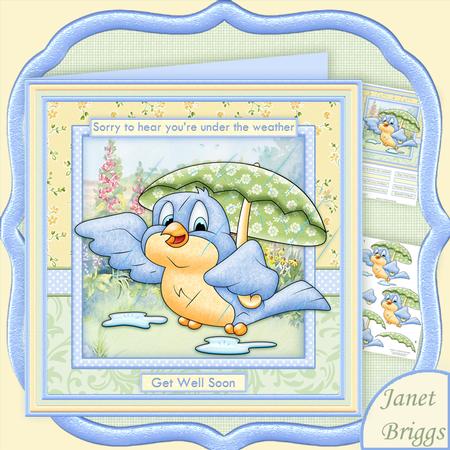 Under the Weather Birdie 8x8 Get Well Decoupage Kit