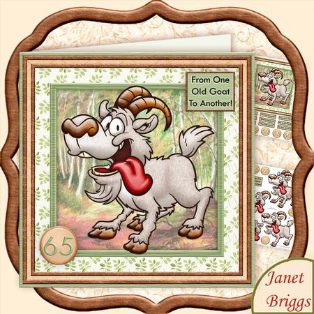 From One Old Goat to Another Birthday Ages Retirement Mini K