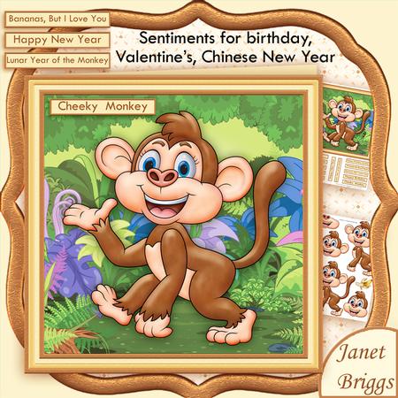 Cheeky Monkey Chinese New Year Valentine's Birthday Mini Kit