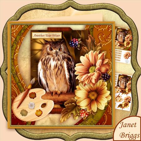 Artists Canvas Wise Old Bird Owl 7.5 Decoupage Mini Kit