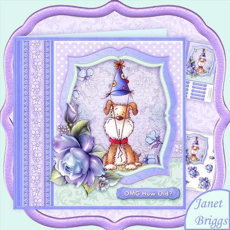 Omg How Old? Dog & Roses 8x8 Decoupage Mini Kit