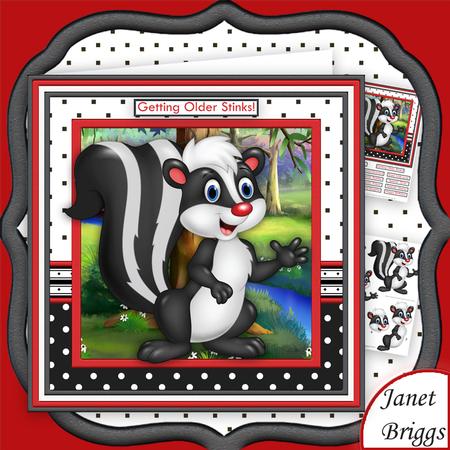Getting Older Stinks 8x8 Humorous Skunk Decoupage Mini Kit