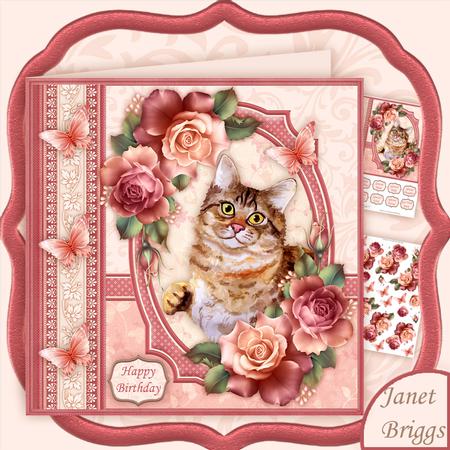 Tabby Cat & Roses 8x8 Decoupage Mini Kit