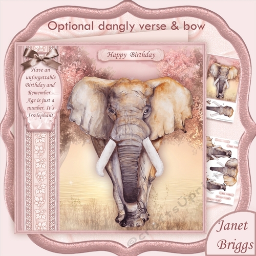 FEMALE ELEPHANT Age is Just a Number 8x8 Birthday Decoupage Mini Kit
