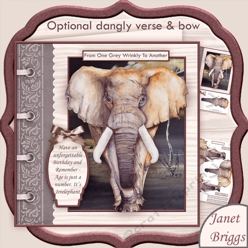 MALE ELEPHANT Age is Just a Number 8x8 Birthday Decoupage Mini Kit
