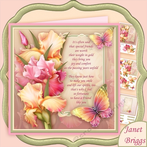 BLUSH OF IRIS & VERSE FOR FRIEND 7.8 Decoupage Mini Kit