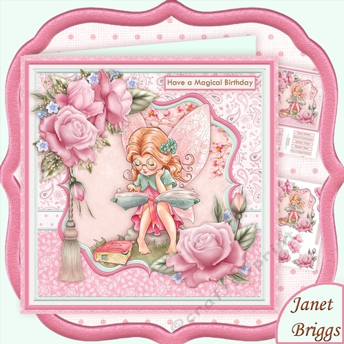 FAIRY BOOKWORM 8x8 Decoupage Mini Kit
