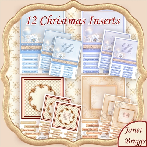 HOLLY RIBBON & FROSTED FLORALS Christmas Inserts Bumper Kit