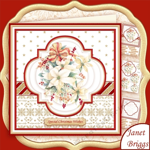 CHRISTMAS POINSETTIA BOUQUET 8x8 Pyramage Mini Kit