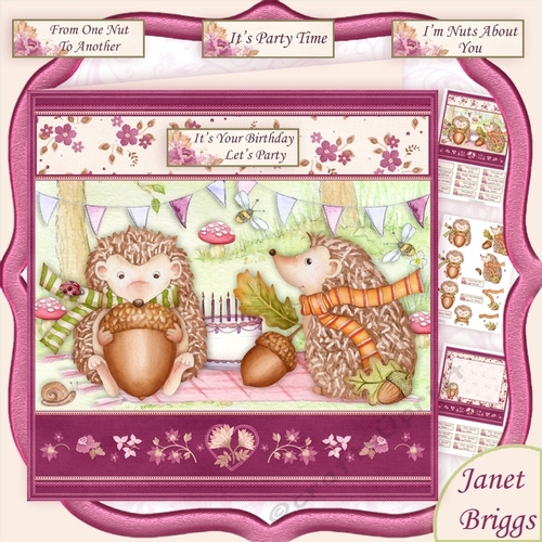 HEDGEHOGS BIRTHDAY PARTY 7.5 Decoupage & Insert Kit