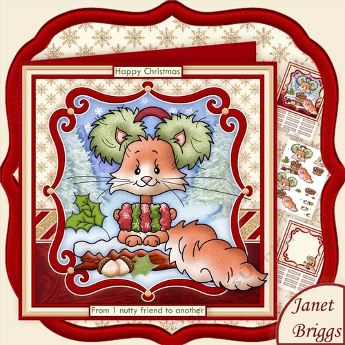 NUTTY CHRISTMAS SQUIRREL 8x8 Decoupage & Insert Mini Kit