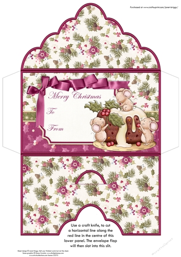 Christmas Money Wallet Gift Voucher Envelope HOLLY PUDDING