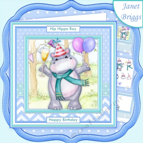 HIP HIPPO RAY ITS YOUR BIRTHDAY 8x8 Decoupage & Insert Mini Kit