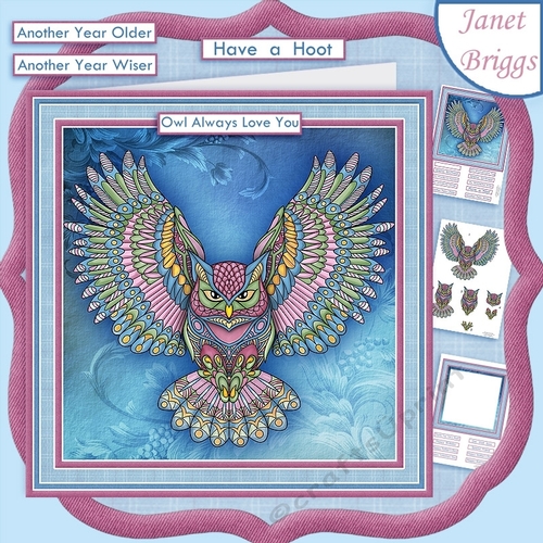 ZEN OWL 8x8 All Occasion Decoupage & Insert Mini Kit