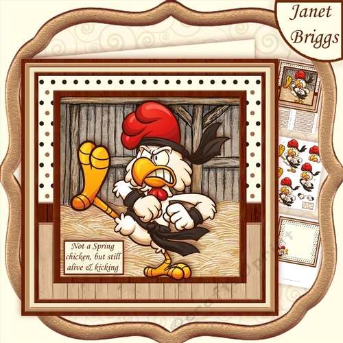 NO SPRING CHICK BUT STILL ALIVE & KICKING 8x8 Decoupage & Insert Mini Kit