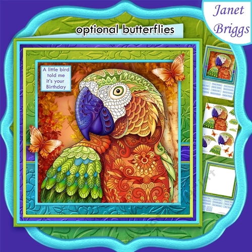 PARROT 8x8 Decoupage & Insert Mini Kit