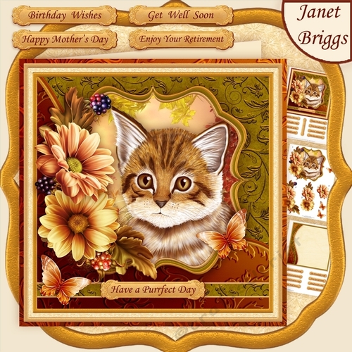 KITTEN & FLORAL 7.5 Decoupage & Insert Mini Kit All Occasions