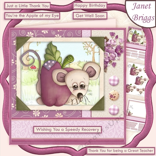 APPLE OF MY EYE Get Well Thank You etc 8x8 Decoupage & Insert Mini Kit