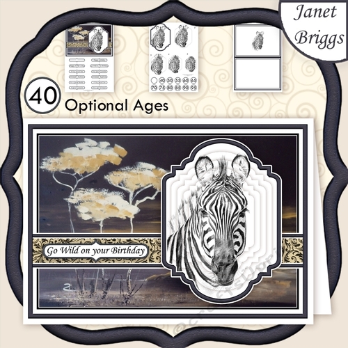 PORTRAIT OF A ZEBRA A5 Pyramage Ages & Insert Mini Kit