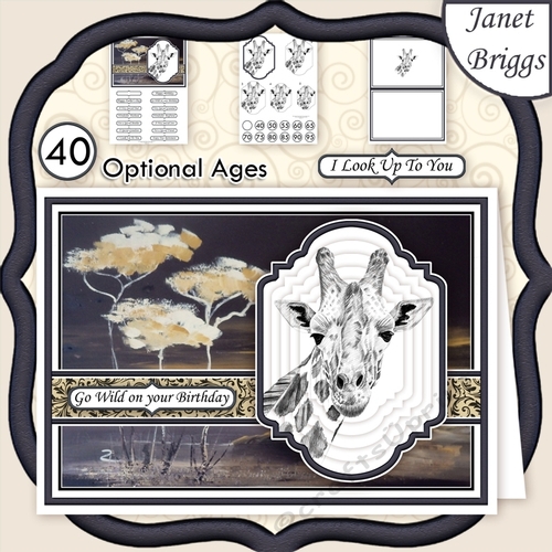 PORTRAIT OF A GIRAFFE A5 Pyramage Ages & Insert Mini Kit
