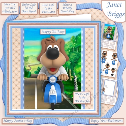 LIFE IN THE OLD DOG YET 8x8 Humorous Decoupage & Insert Mini Kit