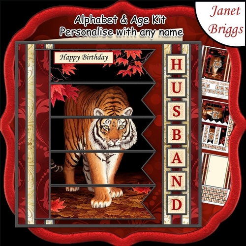 TIGER 7.5 Alphabet and Age Quick Card Kit Create Any Name