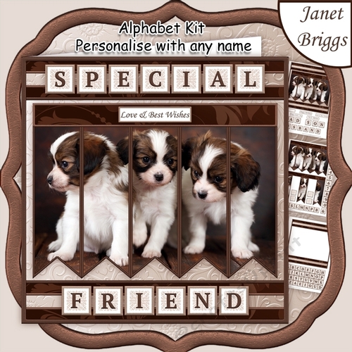 PUPPIES 7.5 Alphabet and Age Quick Card Kit Create Any Name