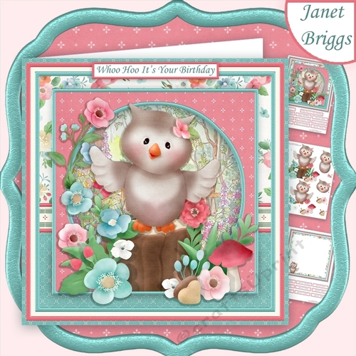 WHOO HOO ITS YOUR BIRTHDAY 8x8 Decoupage & Insert Mini Kit