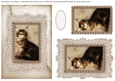 Cat in Coffee and Cream Toppers