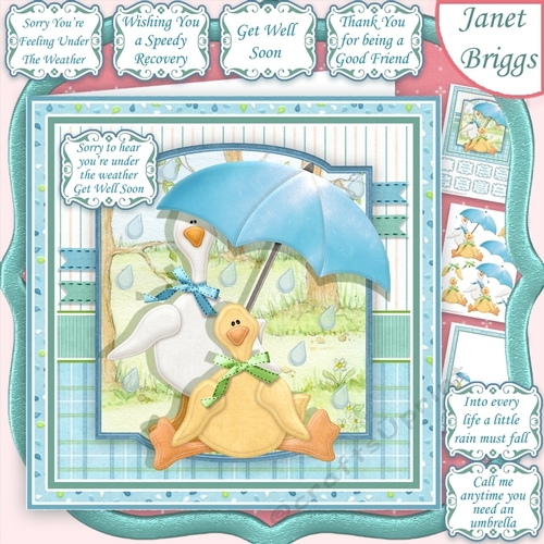 DUCKS UNDER THE WEATHER Get Well Birthday or Supportive 7.5 Decoupage Mini Kit
