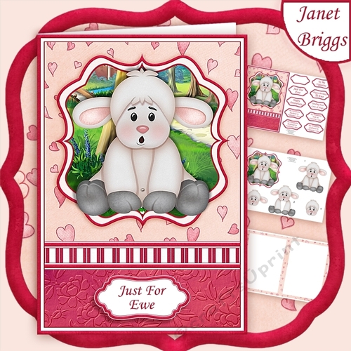 JUST FOR EWE A5 Decoupage & Insert Mini Kit Various Occasions