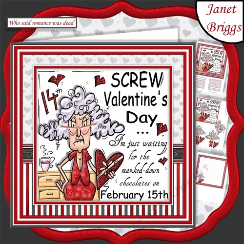 SCREW VALENTINES DAY Humorous Stella 7.5 Decoupage & Insert Mini Kit