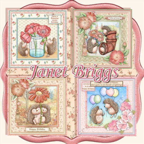 HEDGEHOGS AND BLOOMS 7.5 Decoupage & Inserts Bumper Kit