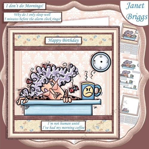 STELLA I DONT DO MORNINGS 7.5 Humorous Decoupage & Insert Mini Kit
