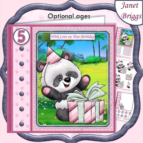 PANDA & SURPRISE GIFT 7.5 Decoupage Ages & Insert Mini Kit