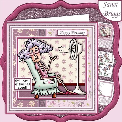 STELLA STILL HOT IF FLUSHES COUNT 7.5 Decoupage & Insert Mini Kit