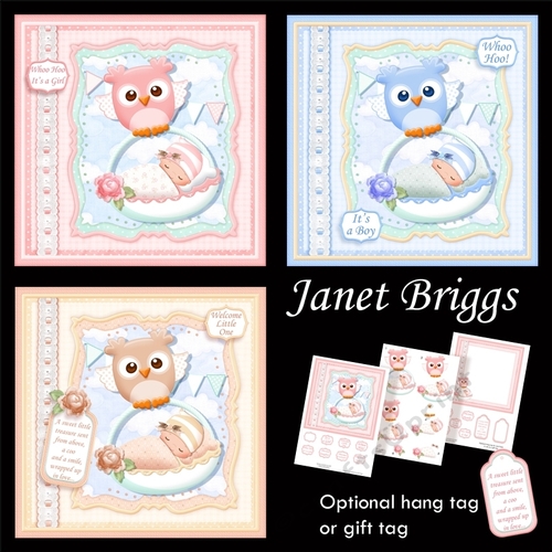 WHOO HOO NEW BABY 7.5 Decoupage & Inserts Bumper Kit