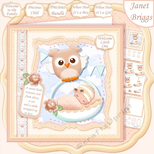 WHOO HOO ITS A BOY or GIRL New Baby 7.5 Decoupage & Insert Mini Kit