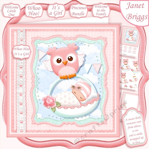 WHOO HOO ITS A GIRL New Baby 7.5 Decoupage & Insert Mini Kit